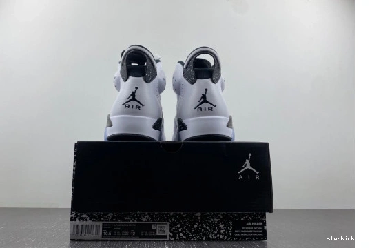 Jordan Reverse CT8529-112  Oreo CT8529-112 6 Retro 1023